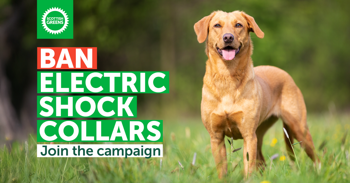 Ban Electric Shock Dog Collars ban-electric-shock-dog-collars